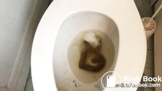 Bootylicious on toilet6