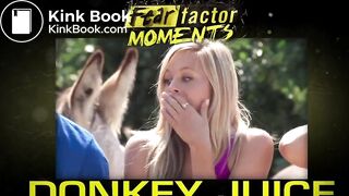 girls swallow donkey semen and pee Most Disgusting Challenge