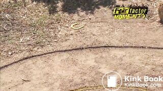 girls swallow donkey semen and pee Most Disgusting Challenge