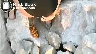 Surfer girl shits in public