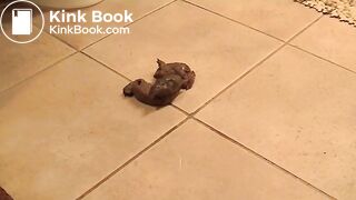 Sexy MILF shit custom