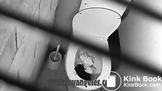 The Death of a Toilet