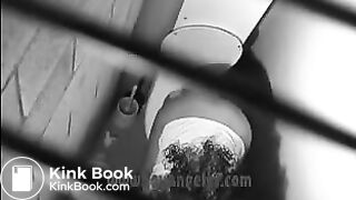 The Death of a Toilet