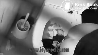 The Death of a Toilet