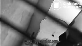 The Death of a Toilet