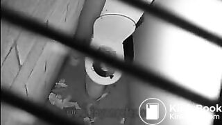 The Death of a Toilet