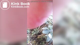 pooping outdoor - video 4