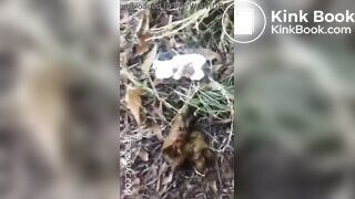 pooping outdoor - video 4