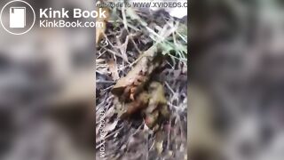 pooping outdoor - video 4