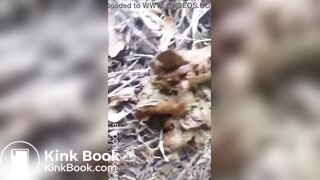 pooping outdoor - video 4