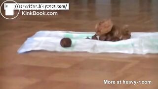 Dirty scat housewife