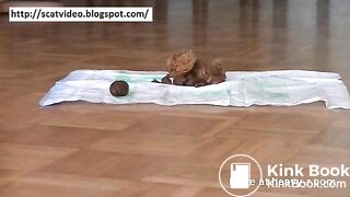 Dirty scat housewife