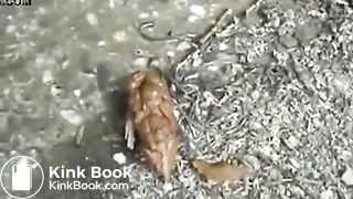 Sexy babe decides to poop outdoor