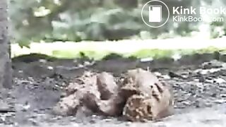 Sexy pooping - video 102
