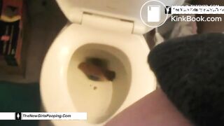 Porcelain Toilet Poop 2