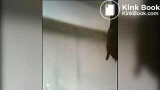 The biggest shit i've seen