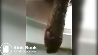 The biggest shit i've seen