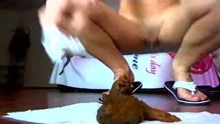 Huge custom turd