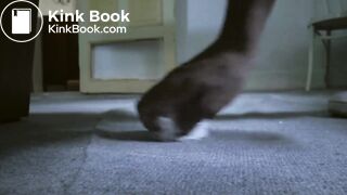 Embarrassed diarrhea