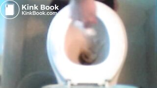 big poop turd series