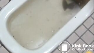 Japanese poop over a shitty toilet