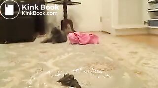 Cute amateur teen pooping at home