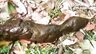 Japanese girls discreetly pooping outdoor