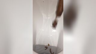 Restaurant bowlcam pooping