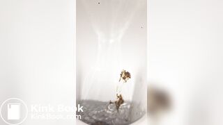 Restaurant bowlcam pooping