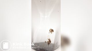 Restaurant bowlcam pooping