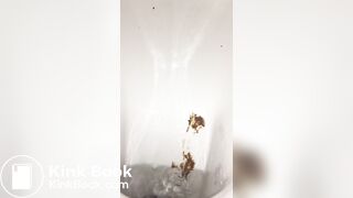 Restaurant bowlcam pooping