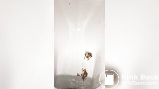 Restaurant bowlcam pooping