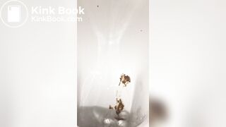 Restaurant bowlcam pooping