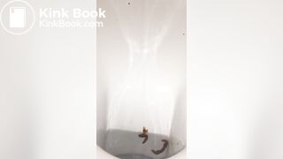 Restaurant bowlcam pooping