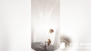 Restaurant bowlcam pooping