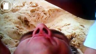 Shit eating on a beach