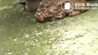 japanese girl poop - video 7