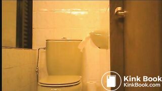 Another Japanese Voyeur