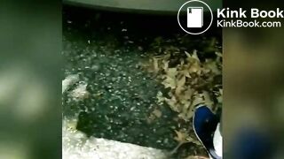 Cleaning her ass - video 2