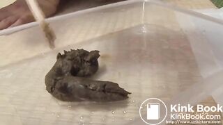 Japanese uncensored Unk... scat 0029