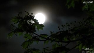 Shiho Aoi got blackened part 2