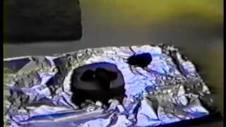 Vintage Amateur Mature Shitting-2