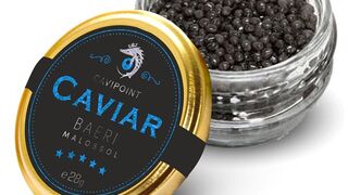 Shitting on a slave - video 2