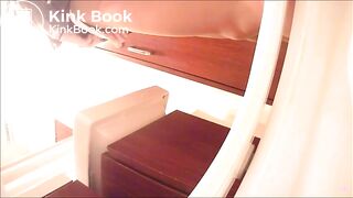 western style toilet pee, poop & vomit(ab)