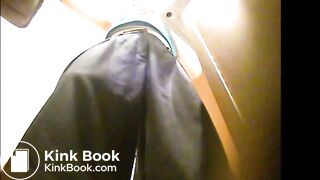 western style toilet pee, poop & vomit(ab)