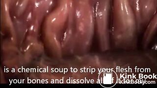 Welcome to my Stomach