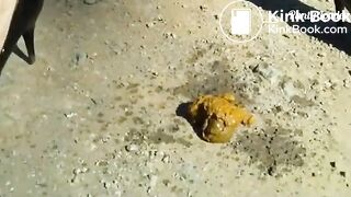 Shitting in the beach