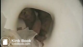 classic toilet poop video