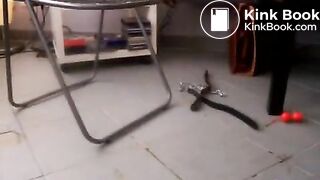 Shit play - video 12