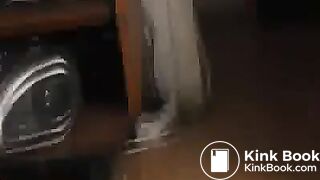 Playing with scat - video 4